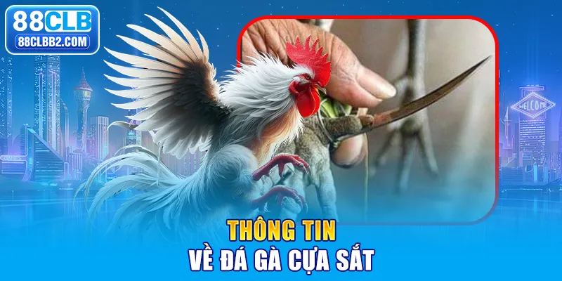 Thông tin về đá gà cựa sắt