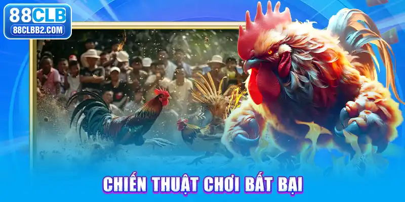 Chiến thuật chơi đá gà bất bại