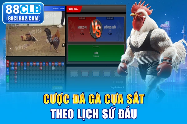 Cược đá gà cựa sắt theo lịch sử đấu