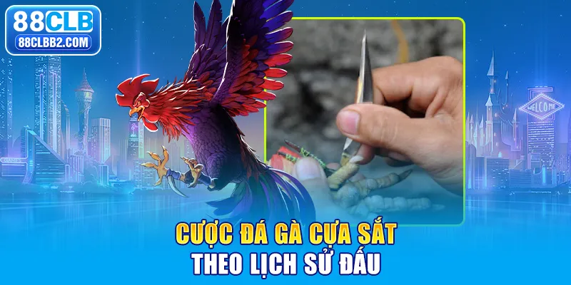 Cược đá gà cựa sắt theo lịch sử đấu