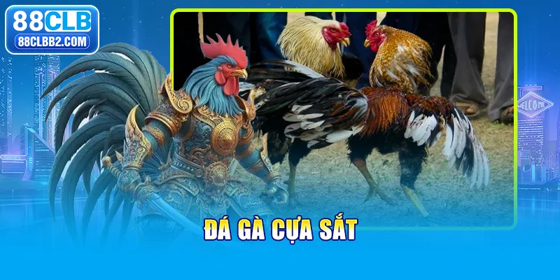 đá gà cựa sắt