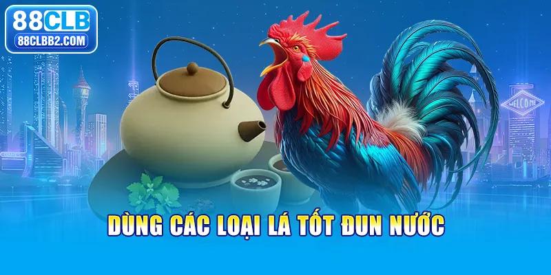 Dùng các loại lá tốt đun nước