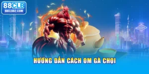 cách om gà chọi