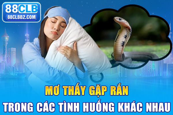Mơ thấy gặp rắn trong các tình huống khác nhau