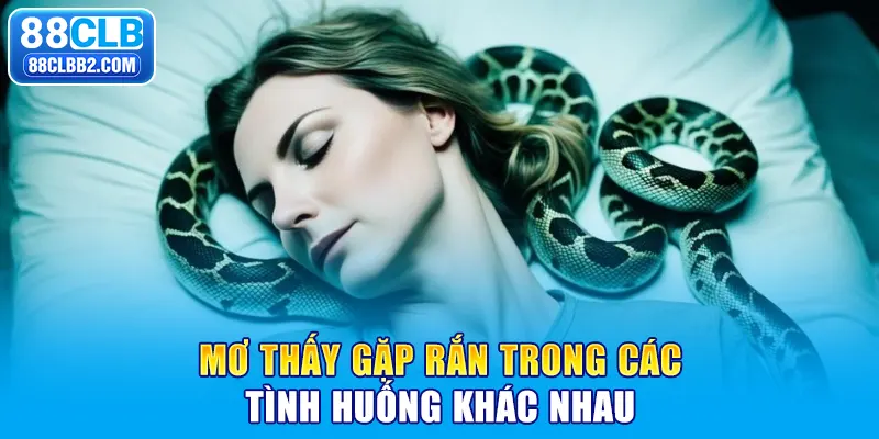 Mơ thấy gặp rắn trong các tình huống khác nhau