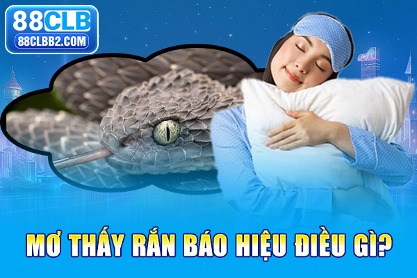 Mơ thấy rắn báo hiệu điều gì?