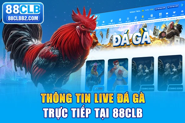 Thông tin live đá gà trực tiếp tại 88clb
