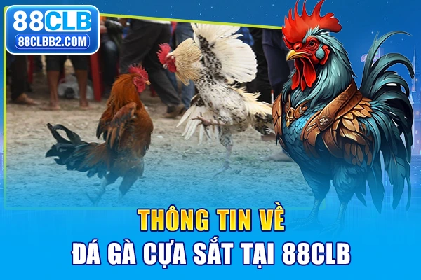 Thông tin về đá gà cựa sắt
