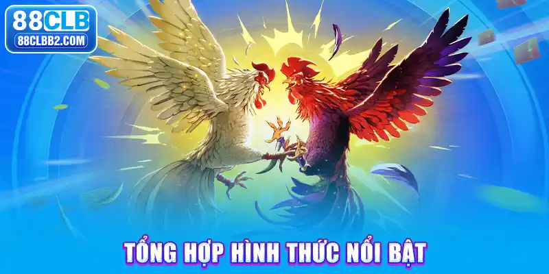 Tổng hợp hình thức nổi bật