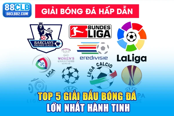 Top 5 giải đấu bóng đá lớn nhất hành tinh