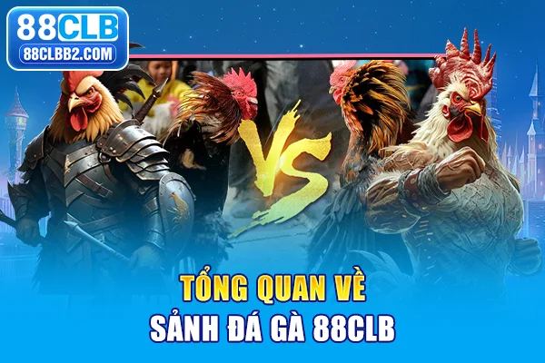 Tổng quan về sảnh đá gà 88CLB